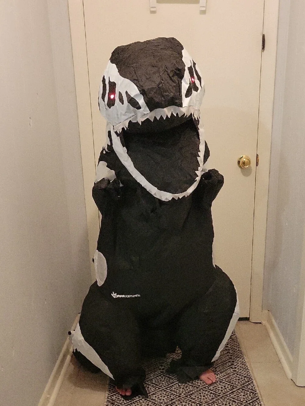 Kids Black & White Skeleton T-Rex Inflatable Costume